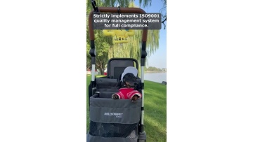 Video 4