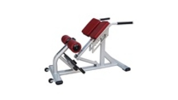 Roman chair body building machine