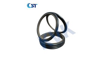 RS PTFE Rubber Hydraulic Seal