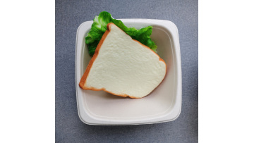Degradable Disposable Sugarcane Pulp 42oz Square Bowl ）