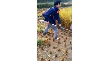 扶稻框.mp4