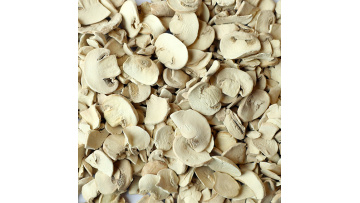 Freeze Dried Mushroom