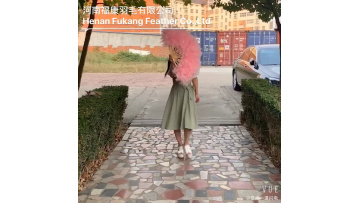 Wedding Bamboo Fans 70*40cm Handmade Craft Large Turkey Feather Fan Red And Hot Pink Color Feather Fans1