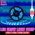 Full Spectrum LED Growth Light USB Diode Tape 3M Touch Switch LED Phyto Lamp 5V LED Plant Growing Lights For Greenhouse Garden