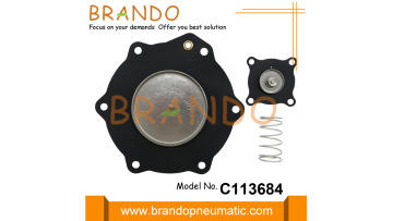 C113684 Diaphragm