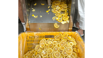 ST-ZQ850 Lemon Slicing Machine