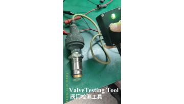 Valve testing tool