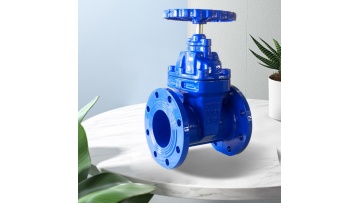 Wenzhou Tielong Valve Co., LTD