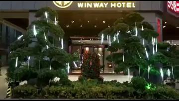 LED Falling Rain Lights