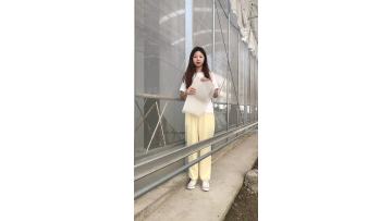 Insect net