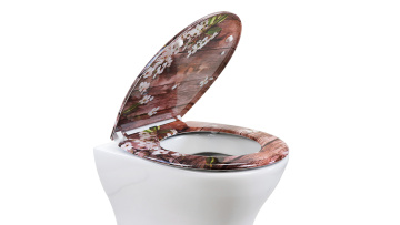 toilet seat UF819-31
