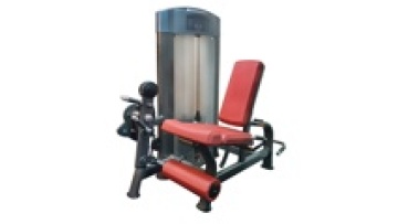 dual function leg extension prone leg curl machine