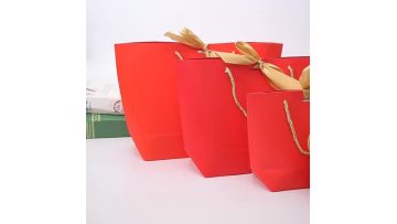 small gift bag