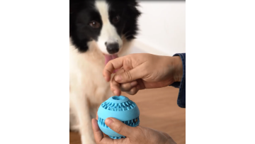 teeth clean ball toy