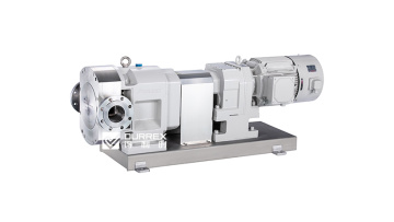 stainless steel lobe pump