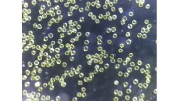 High Thermal Conductivity Diamond 170/200