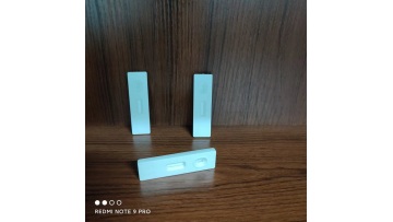 LH Ovulation Cassette 2