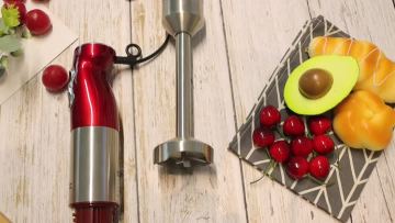 Hand Held Blender R.315