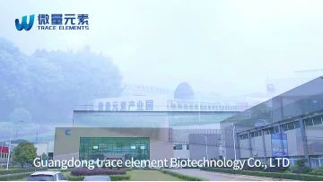 Trace Elements Health Technology Group 