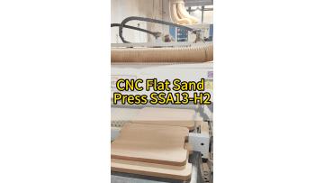 heavy_duty_cnc_flat_sand_press.mp4