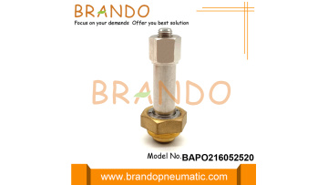 BAPO216052520