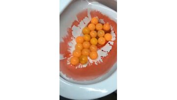 pulse toilet flushing 4