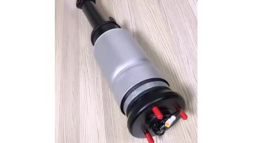 oem