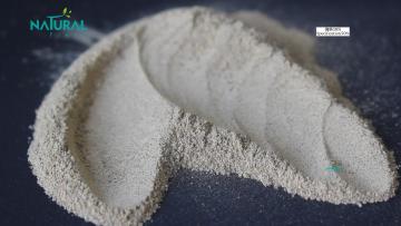 Pseudomonas Sinensis Extract
