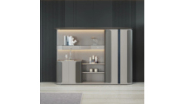 Premium Modern Luxury Science Fiction Metallic Skin Sensitive Paint Layered Storage Door LED Display File Cabinet1