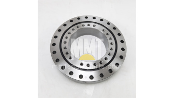  Swing Bearing 185-5622