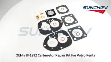 841292 Carburetor Repair Kit 