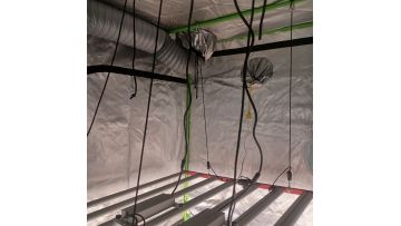 AGLEX 800W LED Grow Light Testing