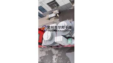 xsg (27)