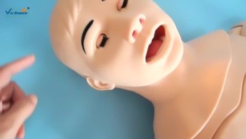 Basic Nursing Manikin Model