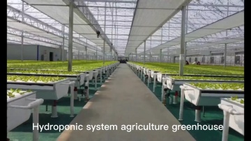 Agricultural NFT Hydroponics PVC Pipes Aquaponic Farm Greenhouse Hydroponic System Vertical1