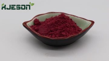 Red Raspberry Freeze-dried Powder