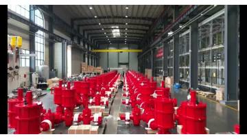 valves_cepai