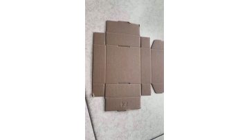 Cardboard  fast shipping direct sales 