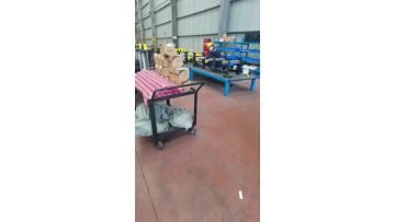 European hoist assemble