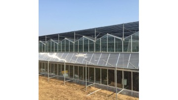 Sunshine Board Multi-span Greenhouse