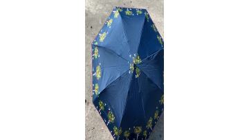 ladies umbrella parasol.mp4