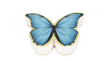 High End Fancy Design Lamination Irregular Flip Closure Butterfly Shape Box1
