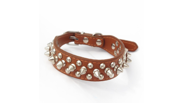 studded dog collars