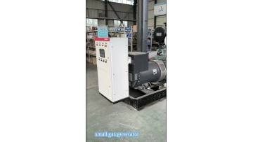 small power  gas generator set