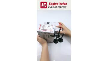 Are you looking for high-quality engine valves that rival OEM ones at a fraction of the cost? 