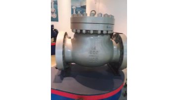 CASTED CHECK VALVE.mp4