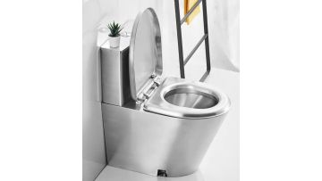 WC toilet bowl