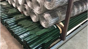Galvanized Steel Studded 6 ft Farm T Fence Posts1