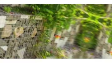 Welded gabion used for landscape