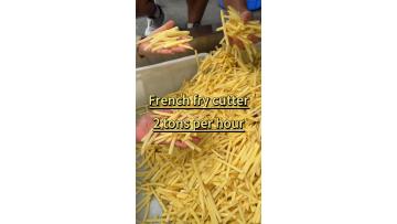 French Fry Cutter
